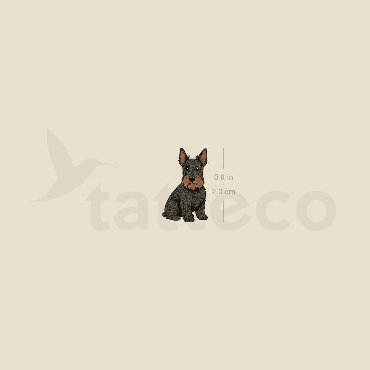 Little Scottish Terrier Temporary Tattoo - Set of 3