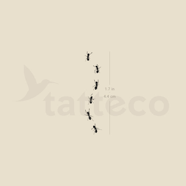 Ant Stock Temporary Tattoo - Set of 3