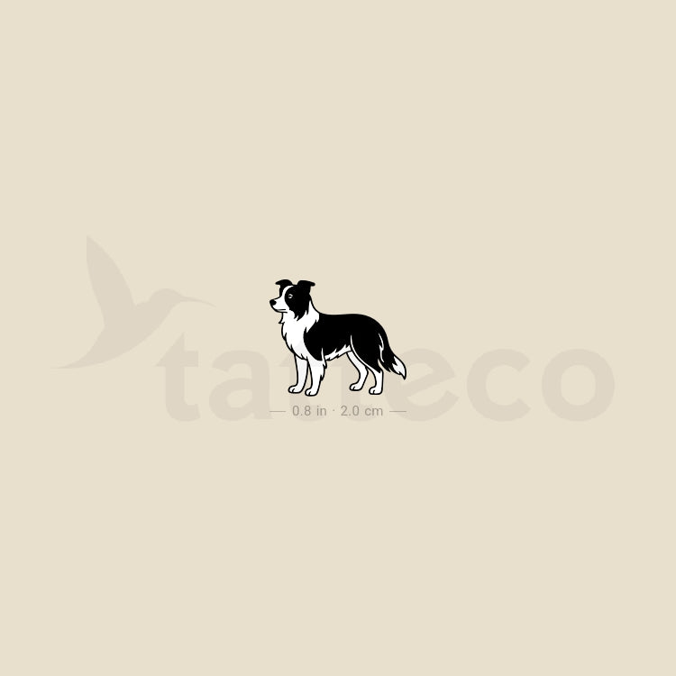 Black And White Border Collie Temporary Tattoo - Set of 3