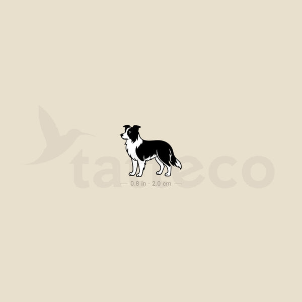 Black And White Border Collie Temporary Tattoo - Set of 3