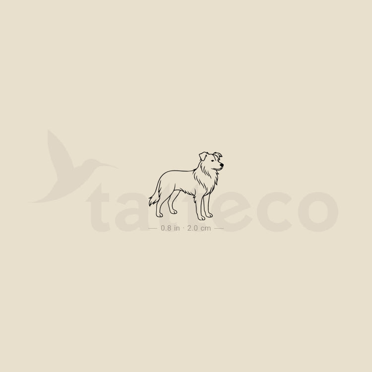 Minimalist Border Collie Temporary Tattoo - Set of 3
