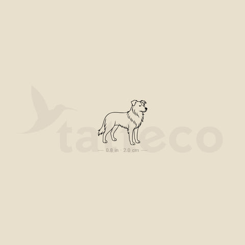 Minimalist Border Collie Temporary Tattoo - Set of 3