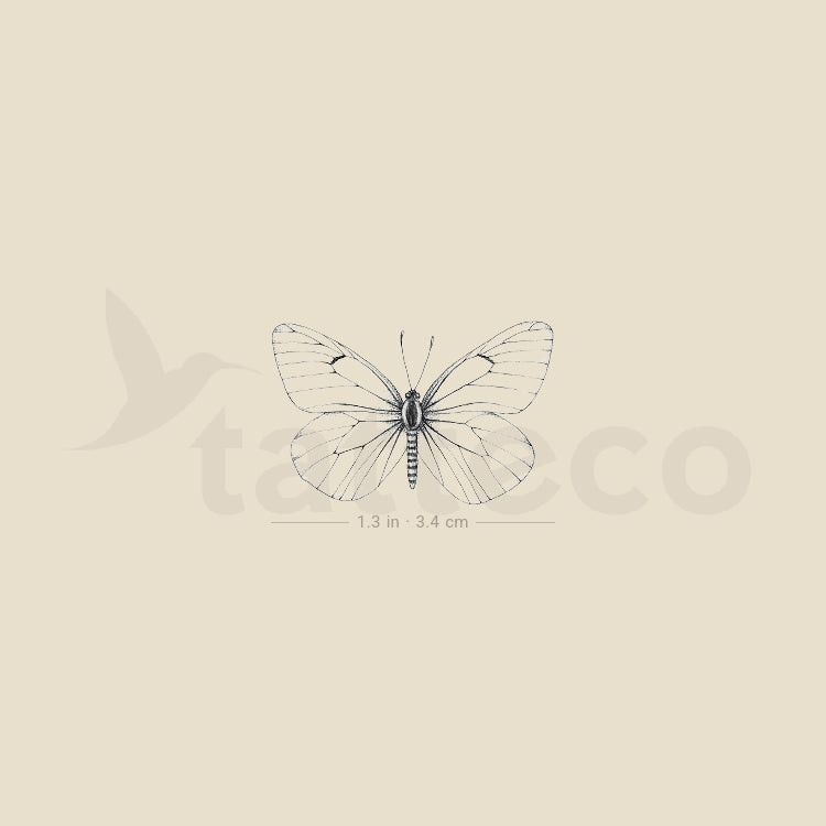 Aporia Crataegi Butterfly Temporary Tattoo - Set of 3