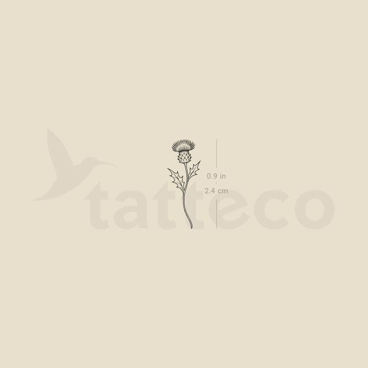 Fine Line Thistle Temporary Tattoo - Set of 3