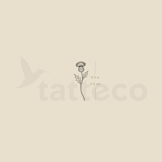 Fine Line Thistle Temporary Tattoo - Set of 3