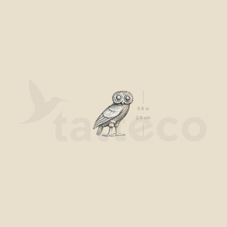 Owl Of Athena Temporary Tattoo - Set of 3