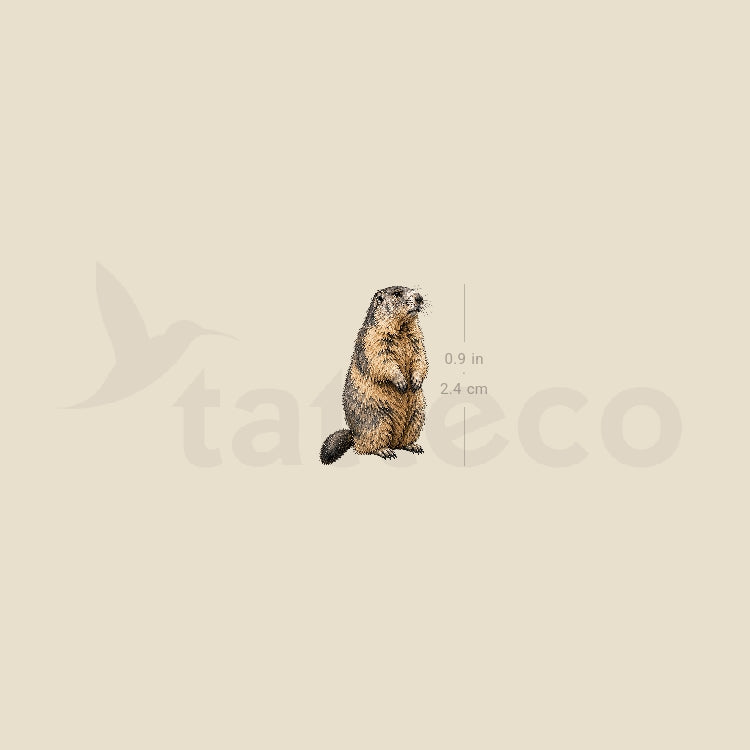 Watercolor Marmot Temporary Tattoo - Set of 3