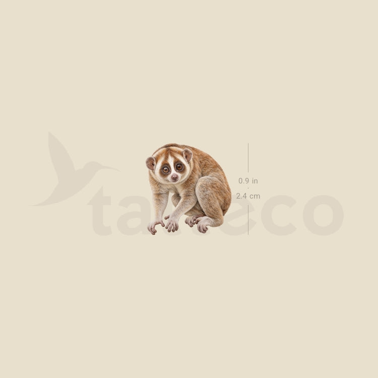 Slow Loris Temporary Tattoo - Set of 3