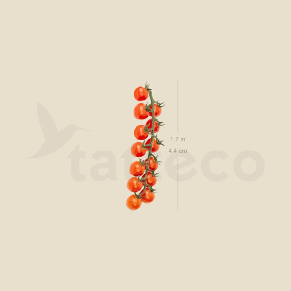 Tomato Vine Temporary Tattoo - Set of 3