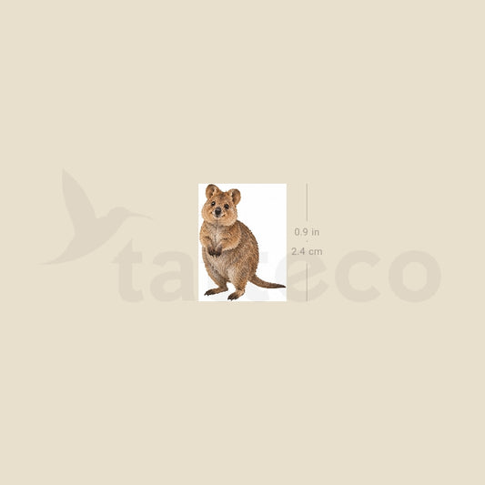 Quokka Temporary Tattoo - Set of 3