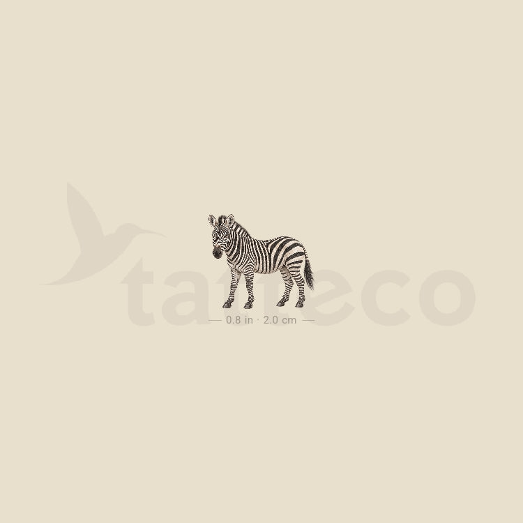 Watercolor Zebra Temporary Tattoo - Set of 3