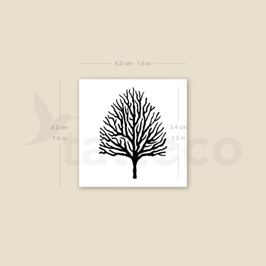 Tatuaje temporal de árbol sin hojas - Juego de 3