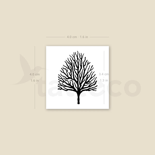 Leafless Tree Temporary Tattoo - Set of 3