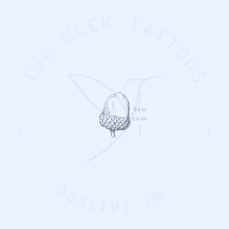 Acorn Semi-Permanent Tattoo - Set of 2