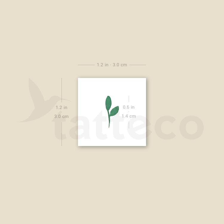 Sprout Temporary Tattoo - Set of 3