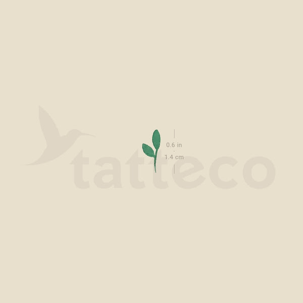 Sprout Temporary Tattoo - Set of 3