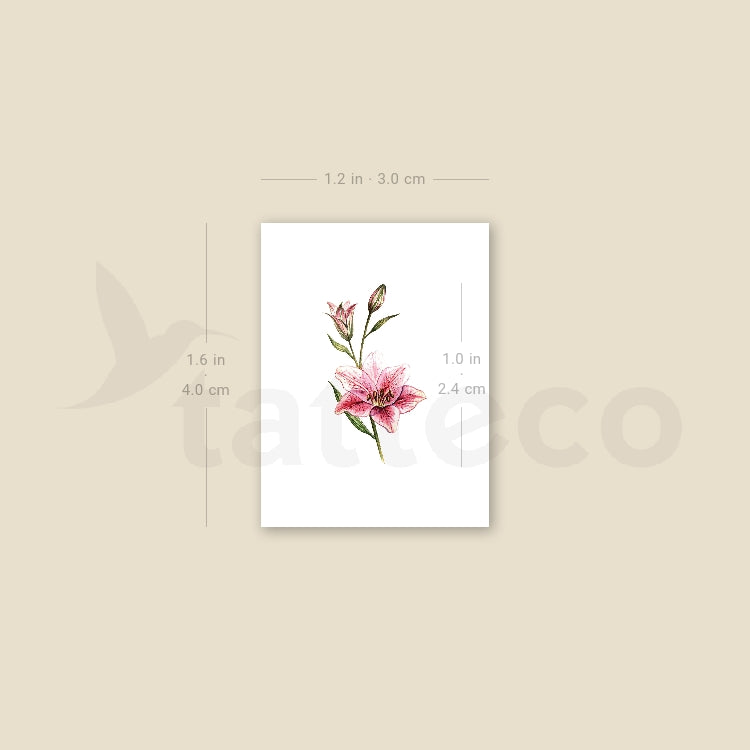 Small Lily Stargazer Temporary Tattoo - Set of 3