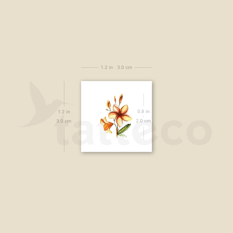 Small Watercolor Plumeria Temporary Tattoo - Set of 3