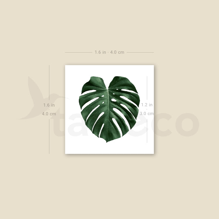 Tatuaje temporal de hoja de Monstera - Juego de 3