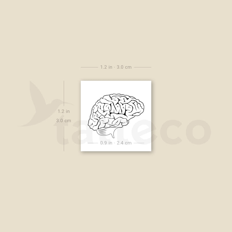 Brain Temporary Tattoo - Set of 3