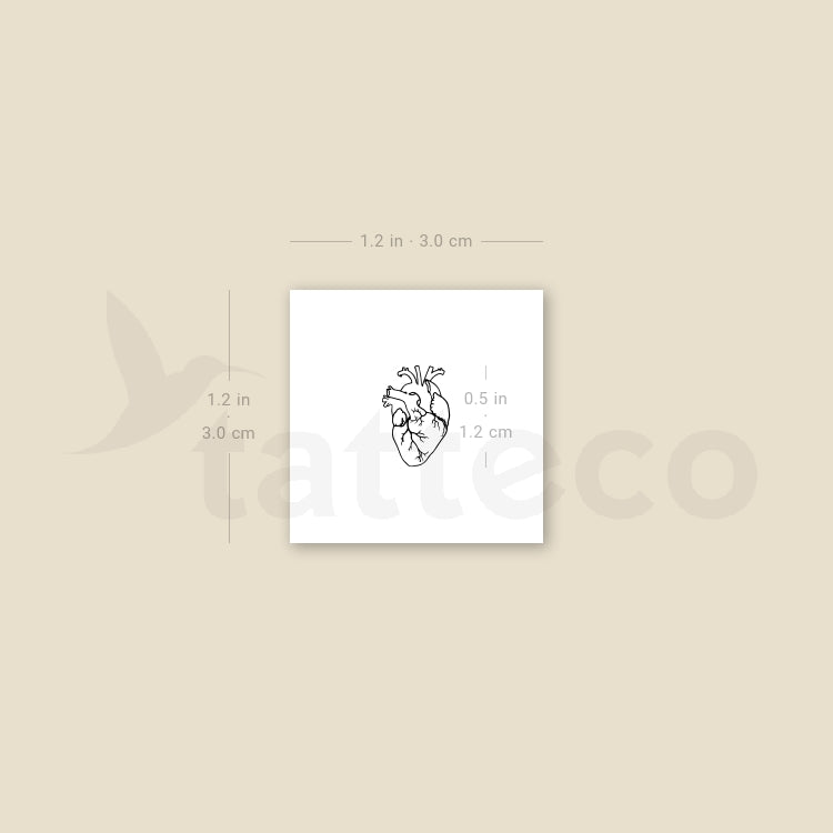 Little Anatomical Heart Temporary Tattoo - Set of 3