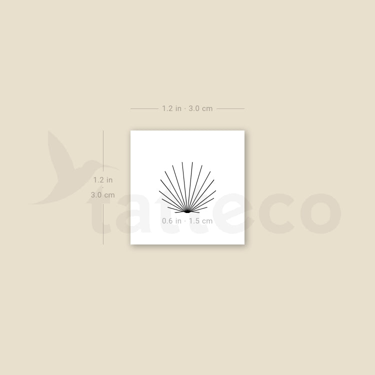 Tatuaje temporal de concha minimalista diminuta - Juego de 3