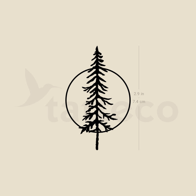 Pine Tree and Full Moon Temporary Tattoo - Set of 3 – Tatteco