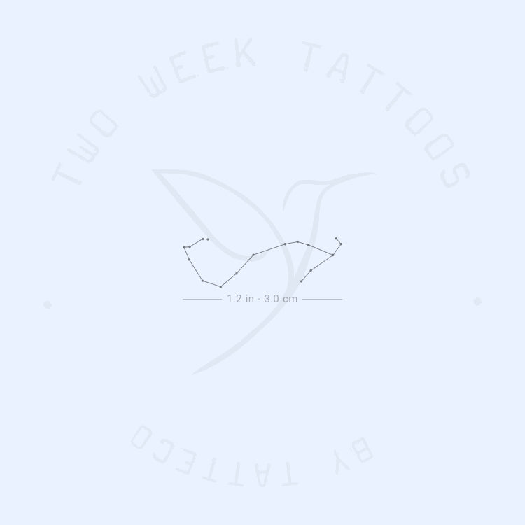 Small Scorpius Constellation Semi-Permanent Tattoo - Set of 2