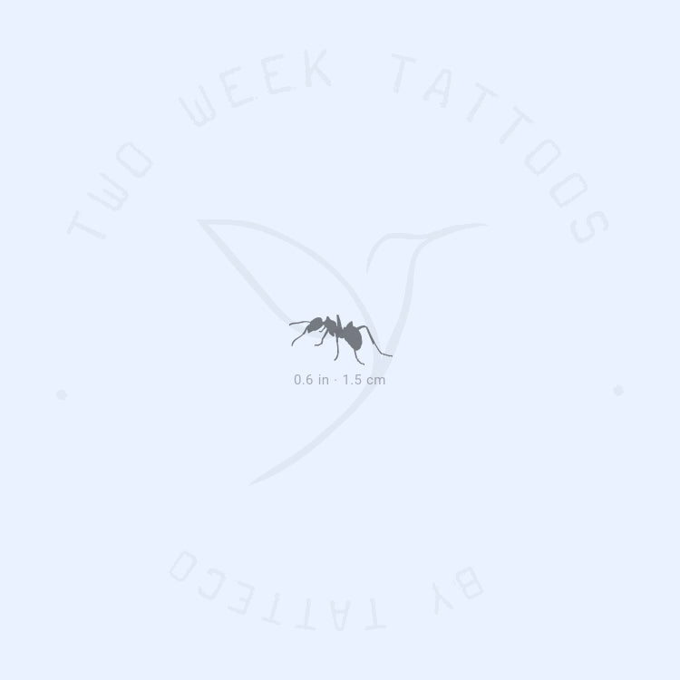 Ant Semi-Permanent Tattoo - Set of 2
