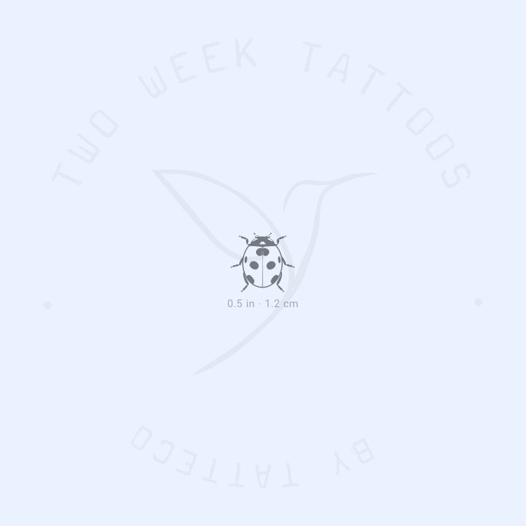 Ladybird Semi-Permanent Tattoo - Set of 2