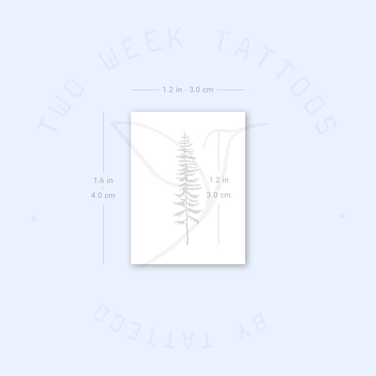 Conifer Tree Semi-Permanent Tattoo - Set of 2