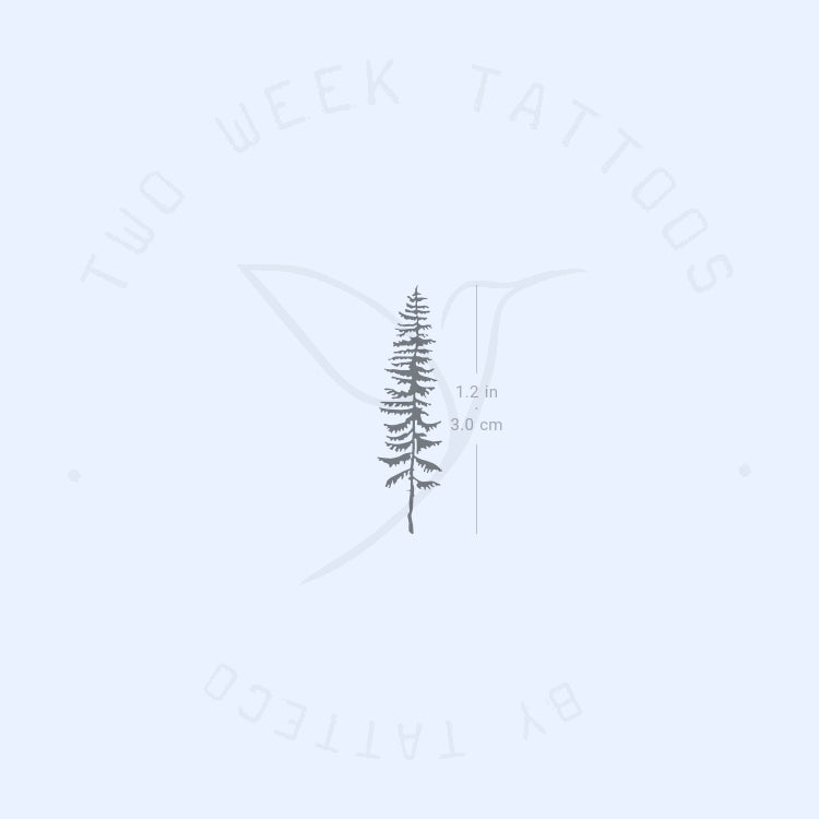 Conifer Tree Semi-Permanent Tattoo - Set of 2
