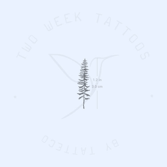 Tatuaje semipermanente de coníferas (juego de 2)