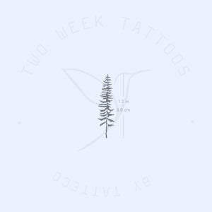 Conifer Tree Semi-Permanent Tattoo - Set of 2