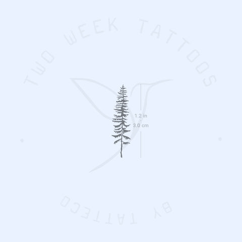 Conifer Tree Semi-Permanent Tattoo - Set of 2