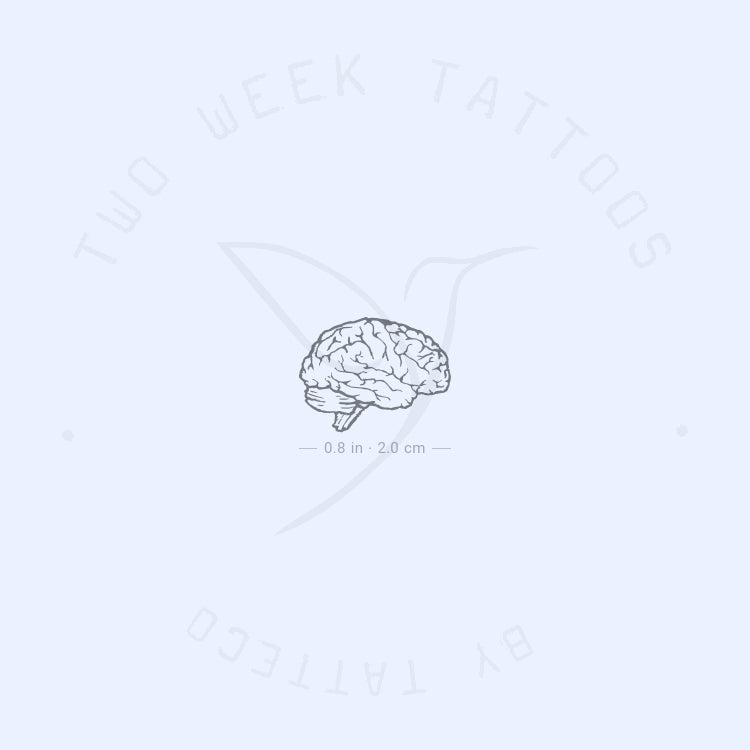 Tatuaje semipermanente de cerebro pequeño - Juego de 2