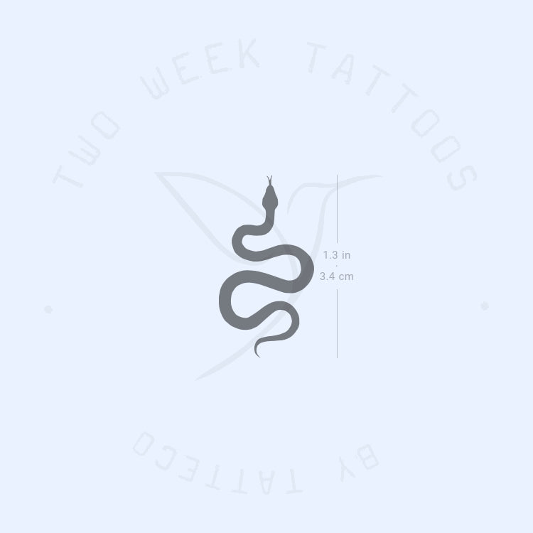 Tatuaje semipermanente de serpiente negra pequeña (juego de 2)