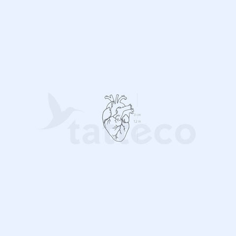 Anatomical Heart Semi-Permanent Tattoo - Set of 2