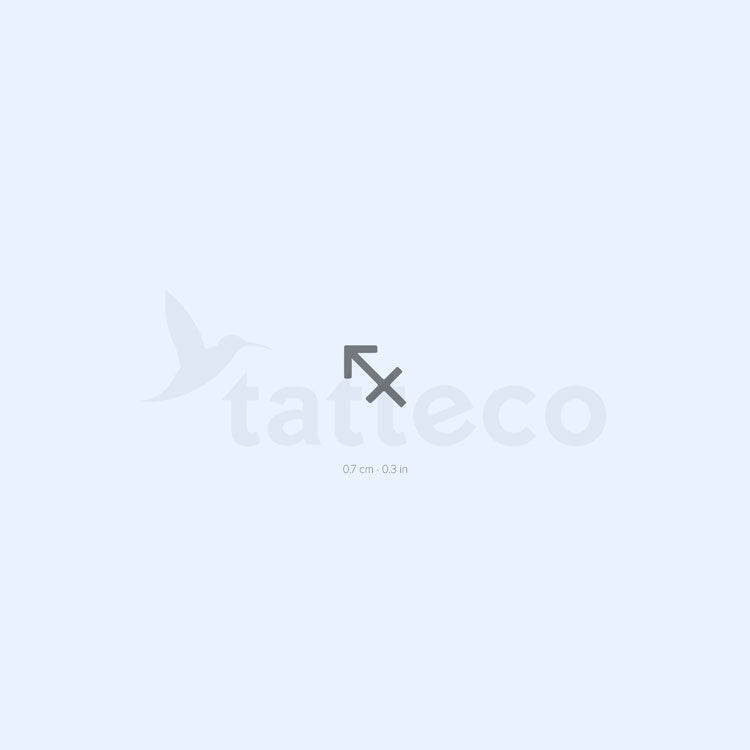 Sagittarius Zodiac Symbol Semi-Permanent Tattoo - Set of 2