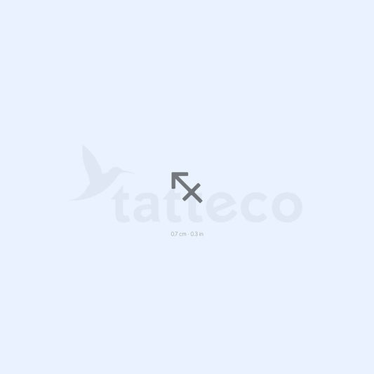 Sagittarius Zodiac Symbol Semi-Permanent Tattoo - Set of 2