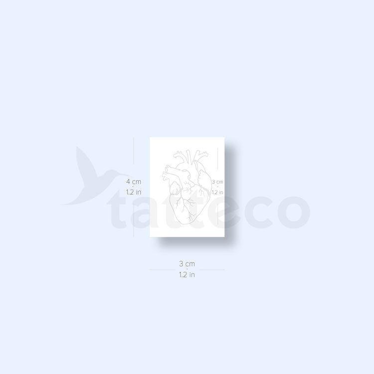 Anatomical Heart Semi-Permanent Tattoo - Set of 2
