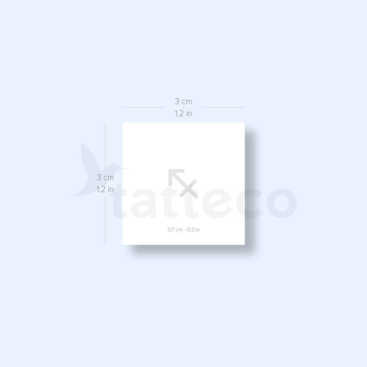 Sagittarius Zodiac Symbol Semi-Permanent Tattoo - Set of 2