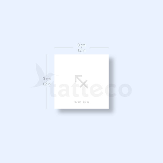 Sagittarius Zodiac Symbol Semi-Permanent Tattoo - Set of 2