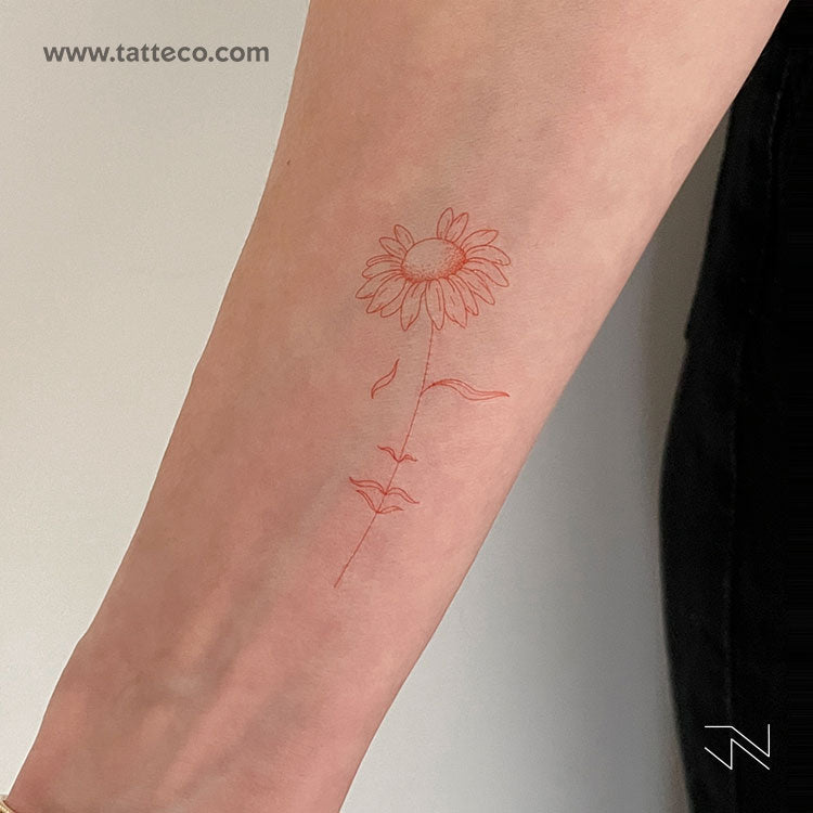 Tatuaje temporal "Una margarita soñadora" [Rojo] de Jakenowicz - Juego de 3