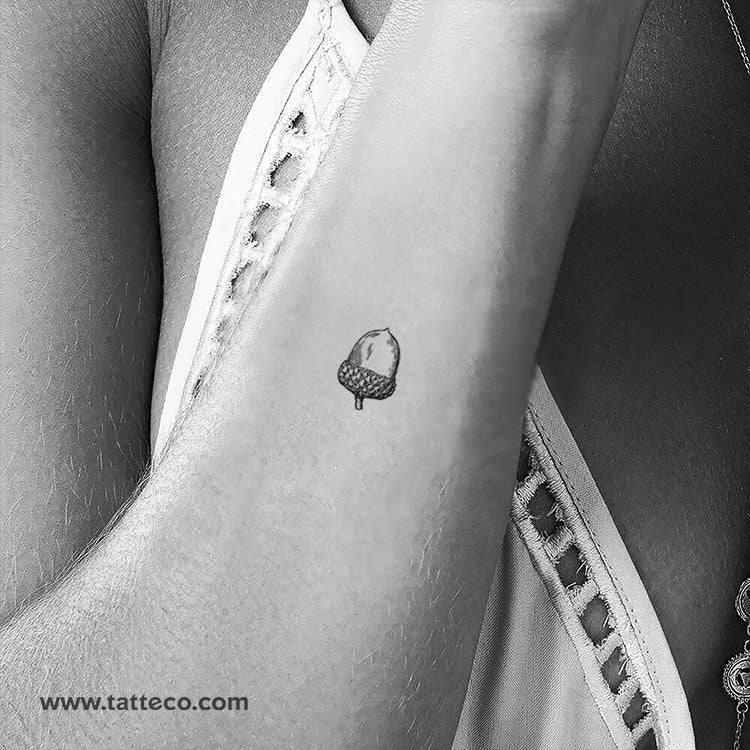 Tatuaje temporal de bellota - Juego de 3