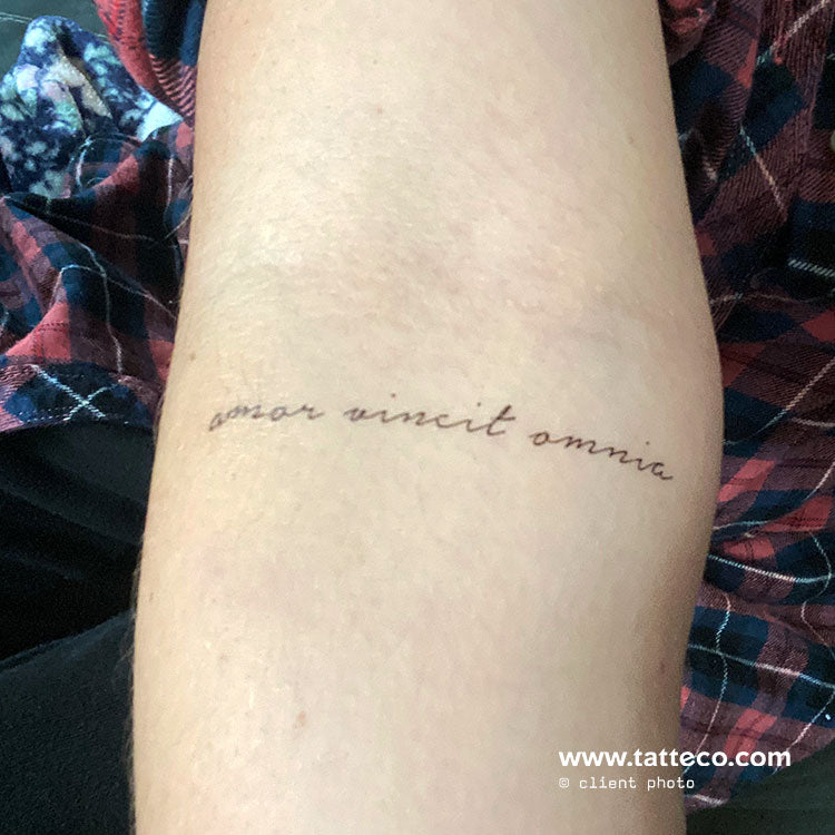 Amor Vincit Omnia Temporary Tattoo - Set of 3