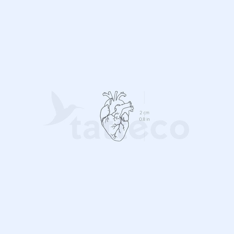 Small Anatomical Heart 2-Week Temporary Tattoo - Set of 2