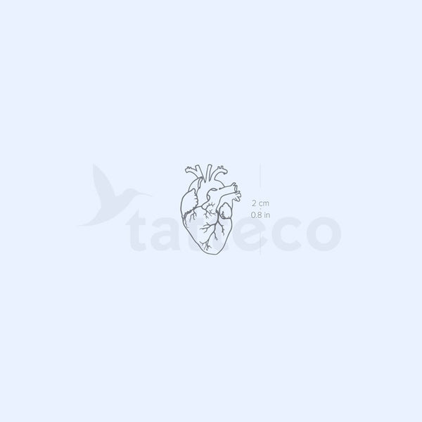 Small Anatomical Heart 2-Week Temporary Tattoo - Set of 2