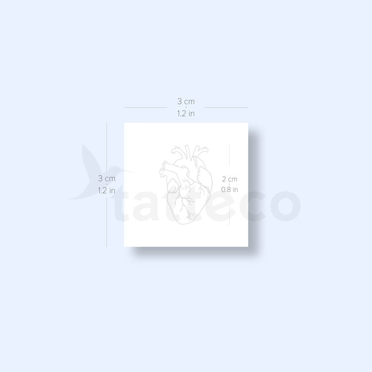 Small Anatomical Heart 2-Week Temporary Tattoo - Set of 2