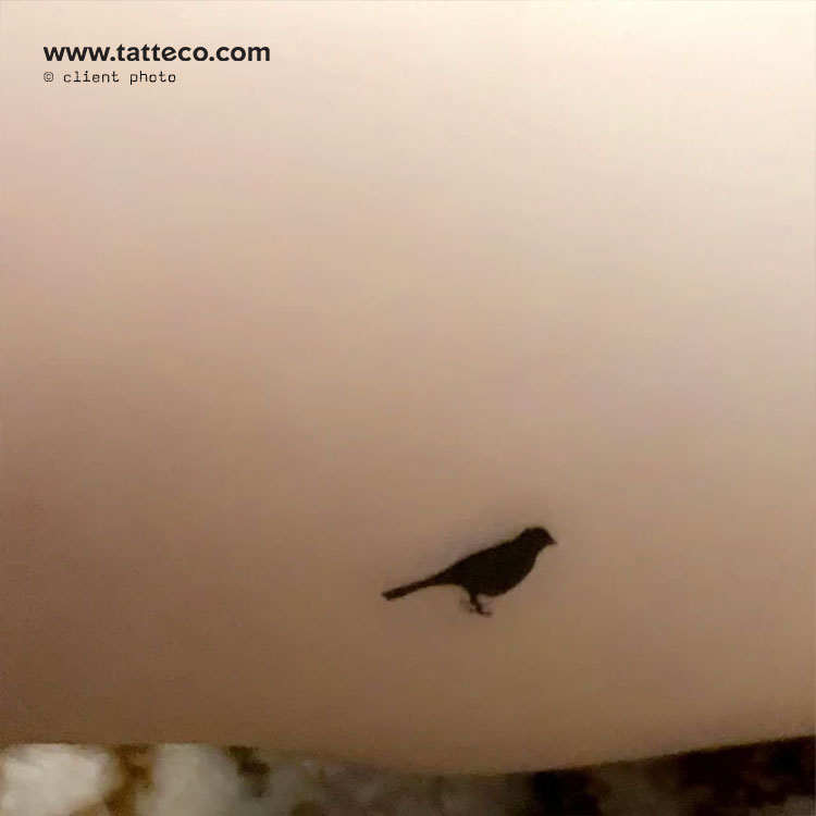 Standing Bird 2-Week Temporary Tattoo - Set of 2